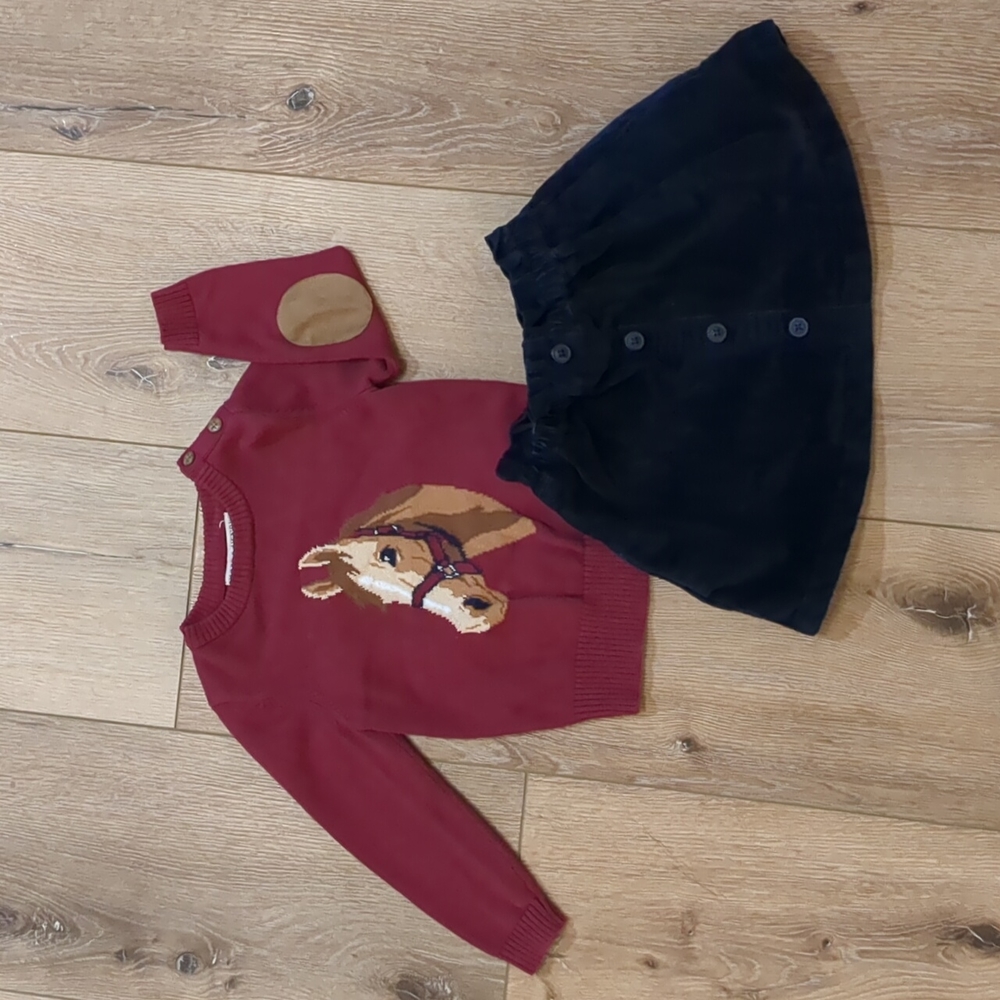Crewcuts, Baby Gap & more sweater and skirt bundle in size 3T